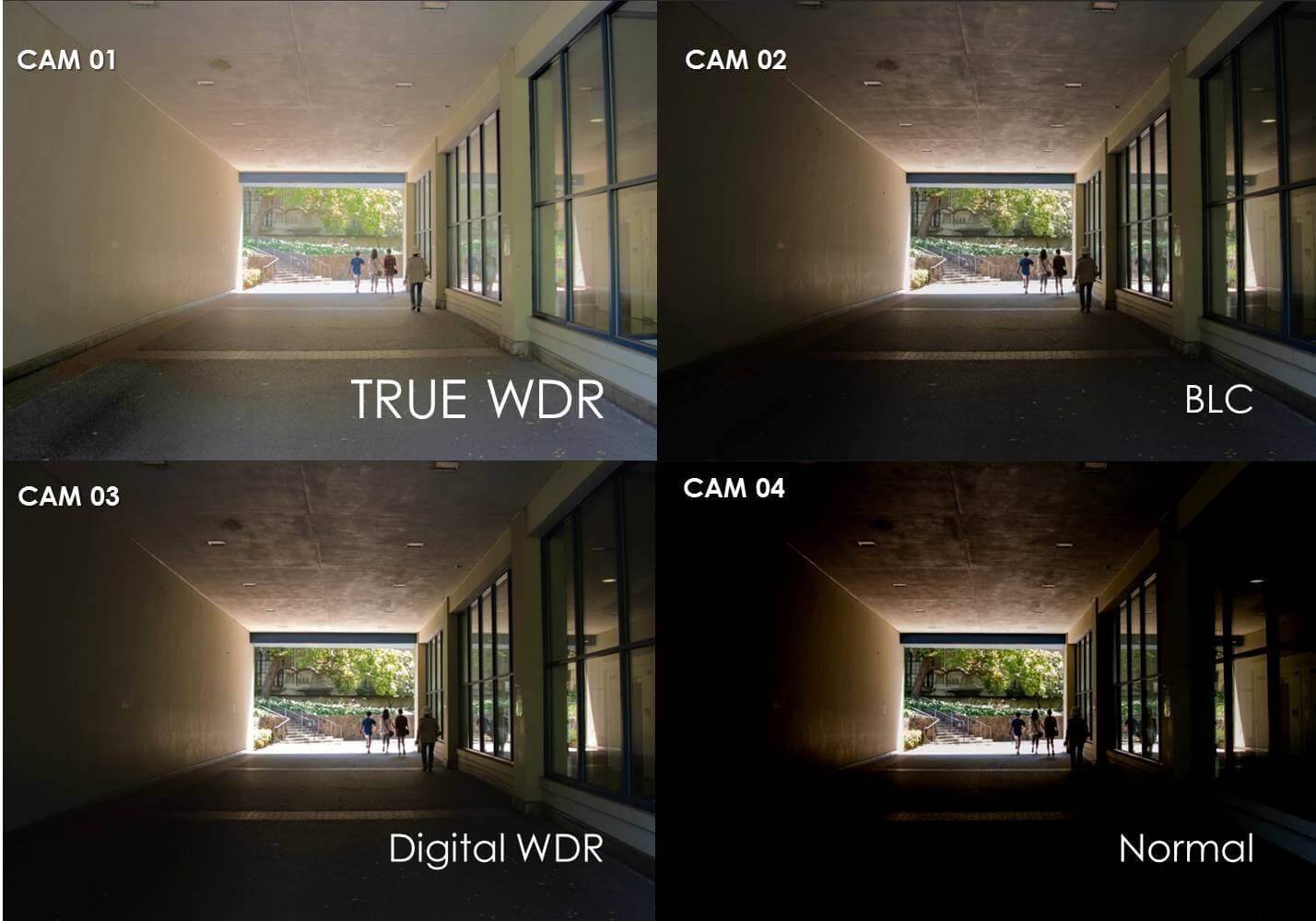 Wide Dynamic Range