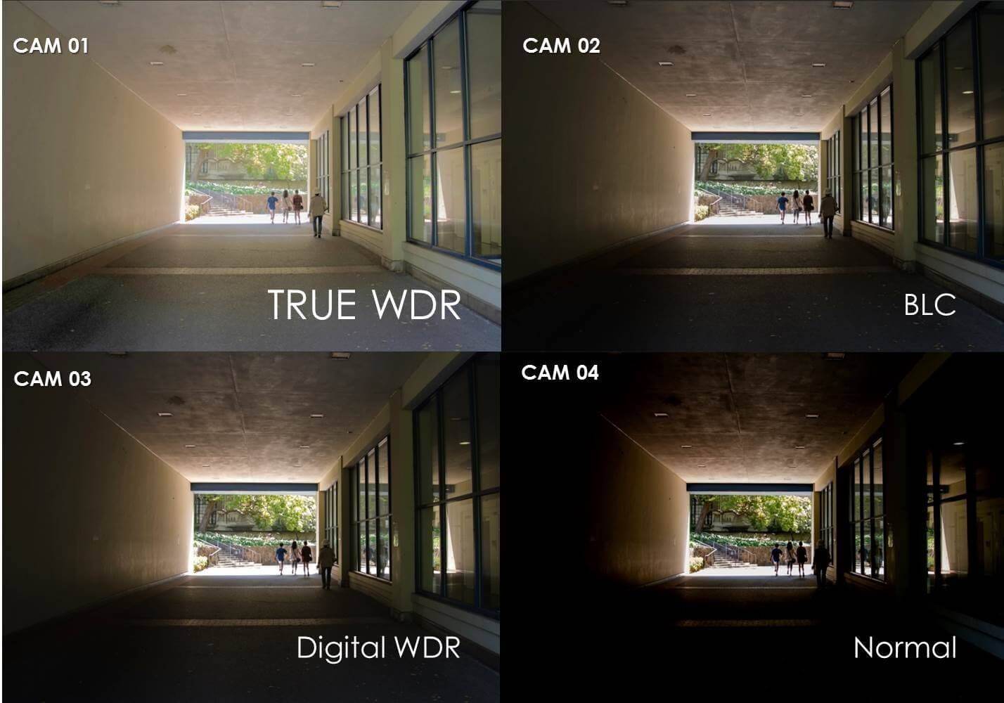 Wide Dynamic Range